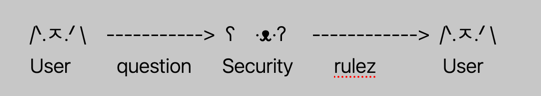 An emoticon diagram where the User (cat) icon has an arrow pointing to the Security icon and the arrow is labeled "question" prior to a repeat of the Security icon having an arrow pointing to the User icon labeled "rulez". There is input, but it is still one omnidirectional relationship.